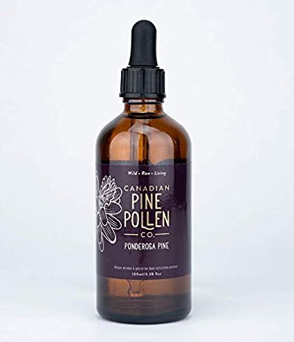 Ponderosa Pine Pollen Image