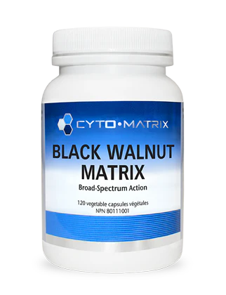 Black Walnut Matrix Image