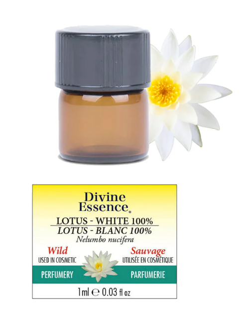 Lotus Blanc 100% Sauvage Absolue