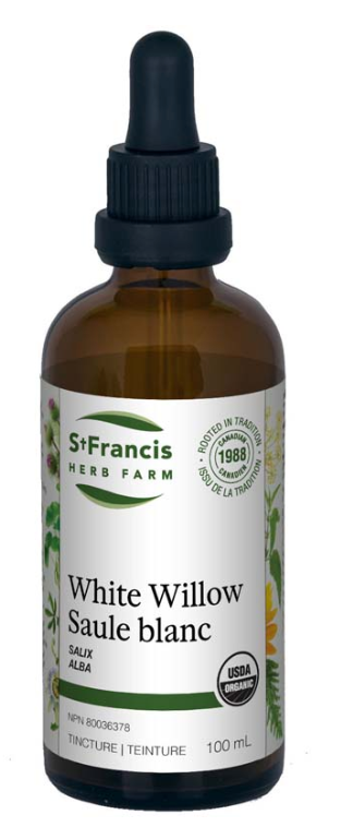 Saule blanc Image