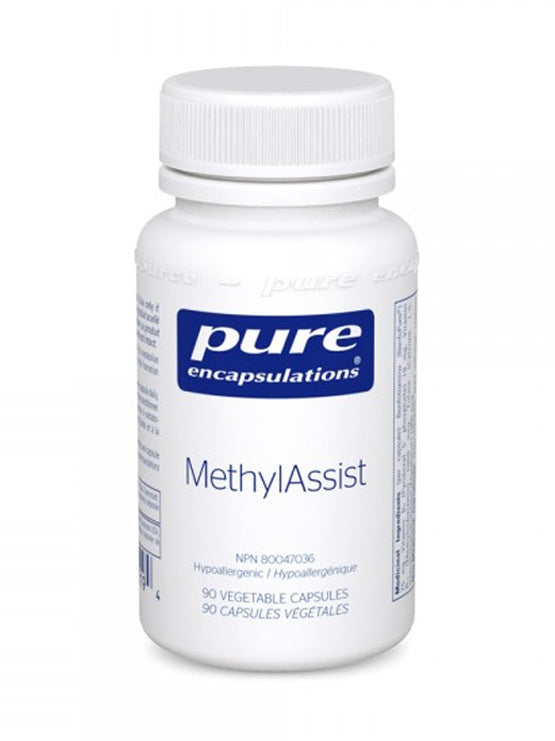 MethylAssist Image