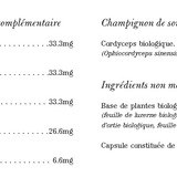 Guerrier image 3