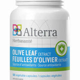 Feuille d'olivier - Olive Leaf image 1