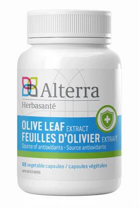 Feuille d'olivier - Olive Leaf