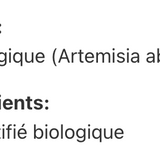 Absinthe (artemisia absinthium) image 2