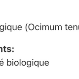 Basilic Sacré image 2