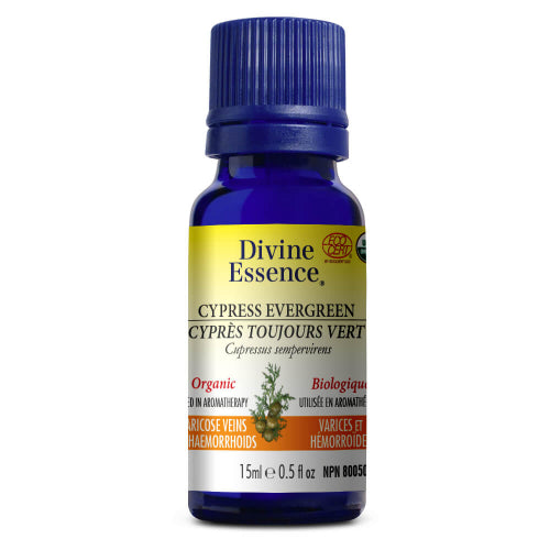 Cyprès - Toujours Vert Bio. Image
