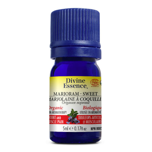 Marjolaine à Coquilles Bio. Image