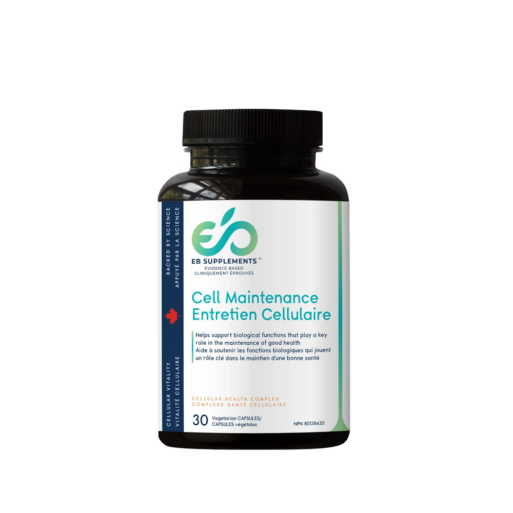 Entretien Cellulaire - Cell Maintenance Image