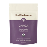 Extrait de Chaga (poudre) image 1