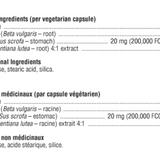 GastrAid image 2