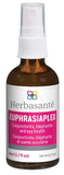 Euphrasiaplex image 2