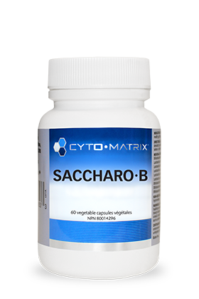 Saccharo B Image