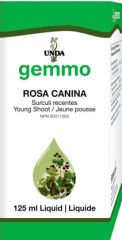 Rosa canina  Image