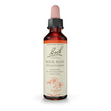 Rock Rose - Hélianthème image 1