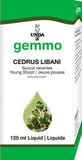 Cedrus libani  image 1