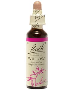 Willow - Saule Image