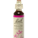 Willow - Saule image 1