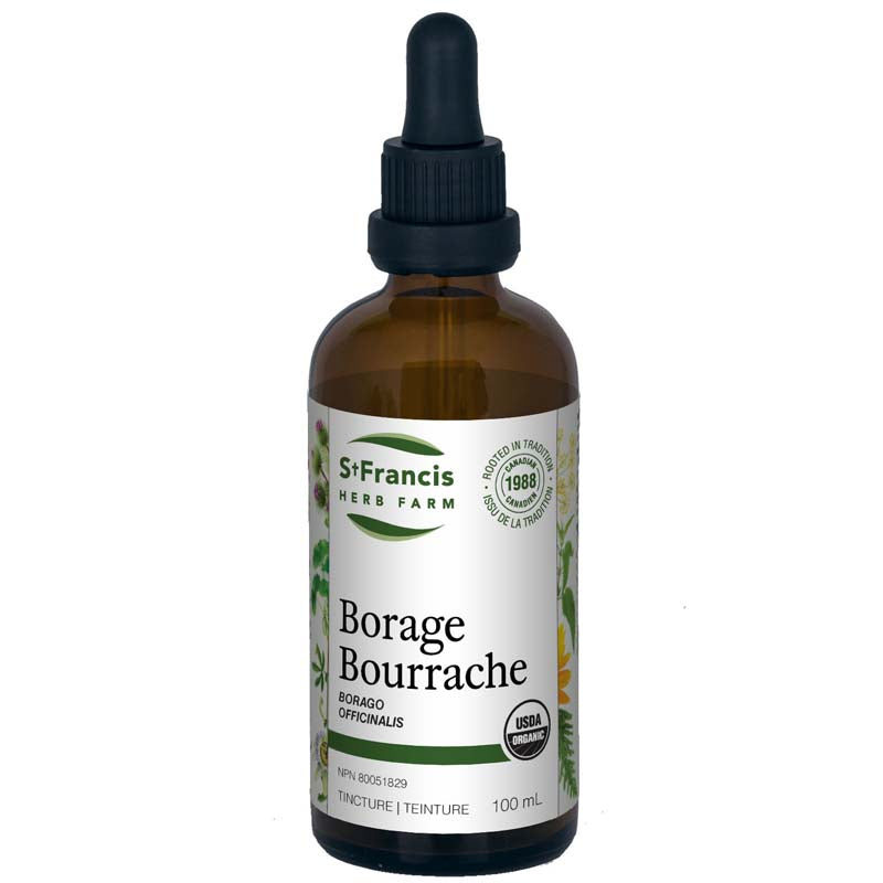 Bourrache Image