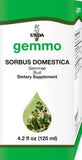 Sorbus domestica  image 1