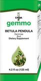 Betula pendula (bud)  image 1