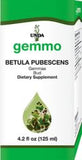 Betula pubescens  image 1