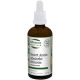Absinthe chinoise (artemisia annua) image 1