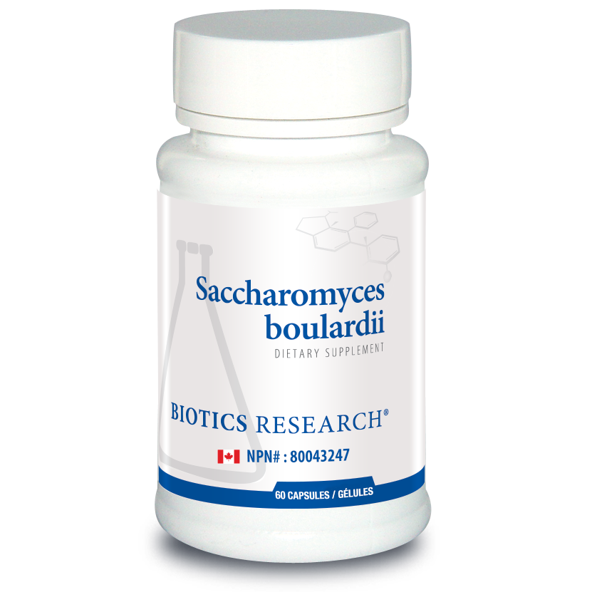 Saccharomyces boulardii Image