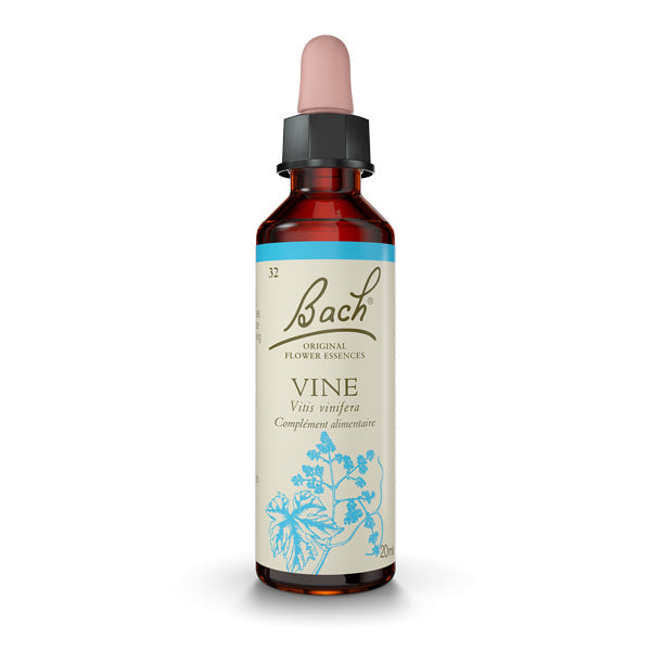 Vine - Vigne Image