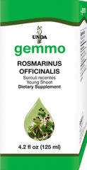 Rosmarinus officinalis  Image