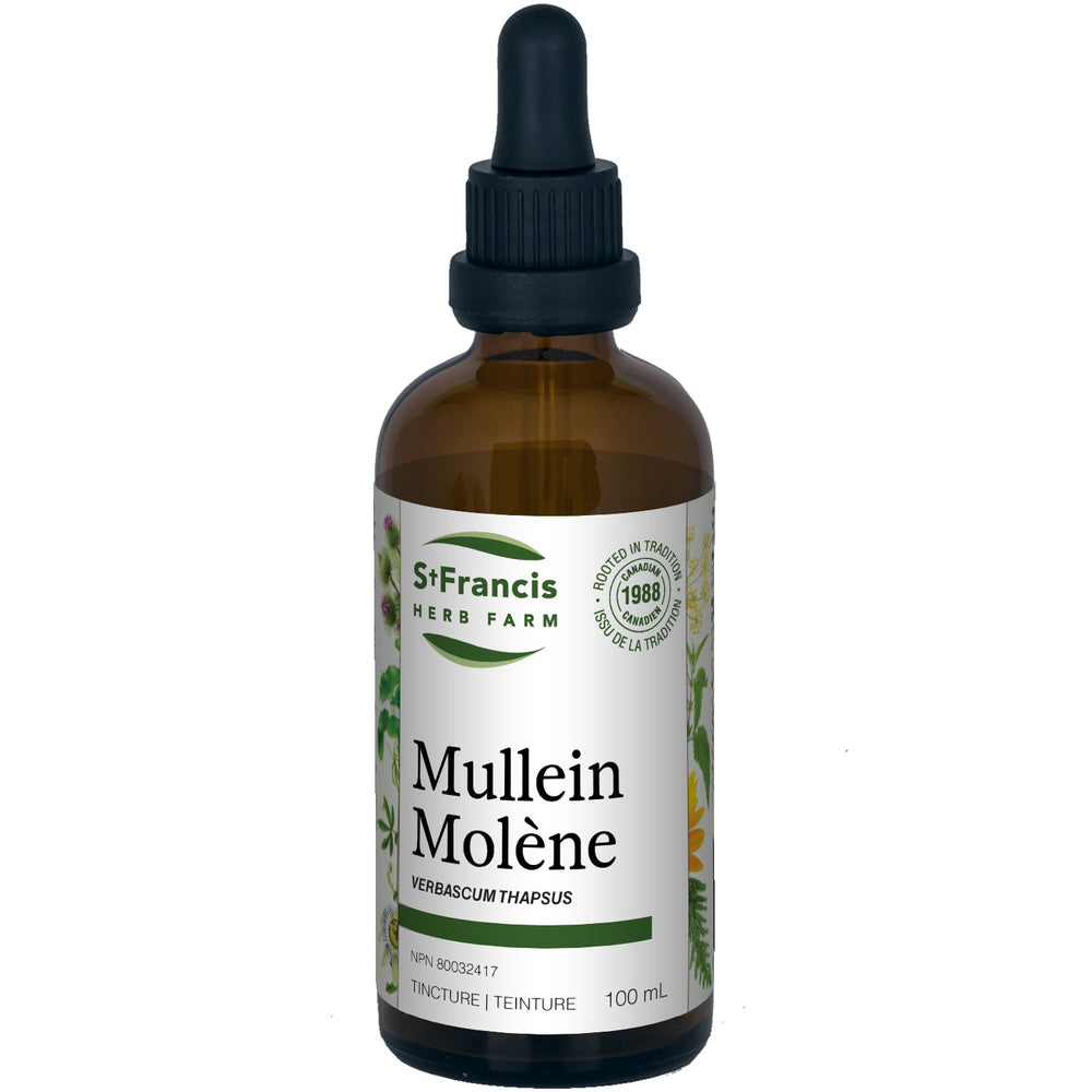 Molène Image