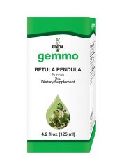 Betula pendula (sap)  Image