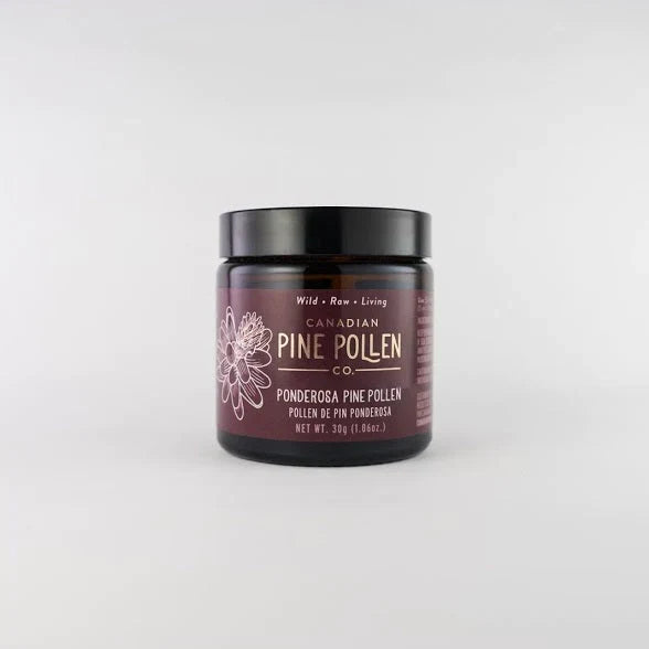 Pollen sauvage de pin ponderosa en poudre - Certifié biologique 30g Image
