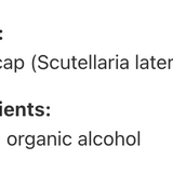 Scutellaire image 3
