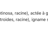 Tonique menstruel image 3